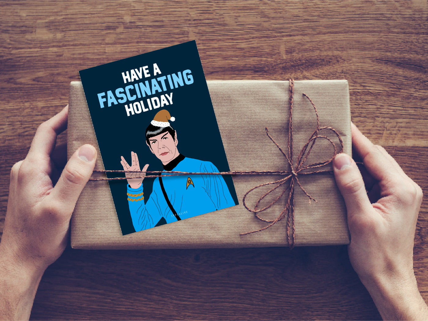 Postkarte / Fascinating Holiday