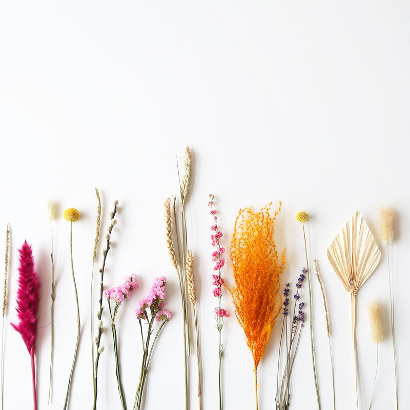 BloomPost - Posy