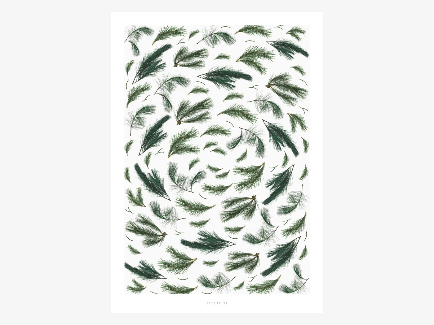 Print / 93 Zweige