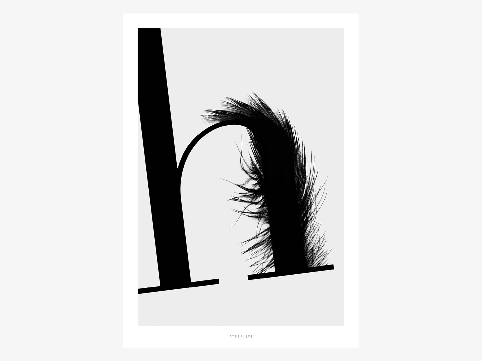 Print / ABC Flying Letters - H – Chez Koslowski