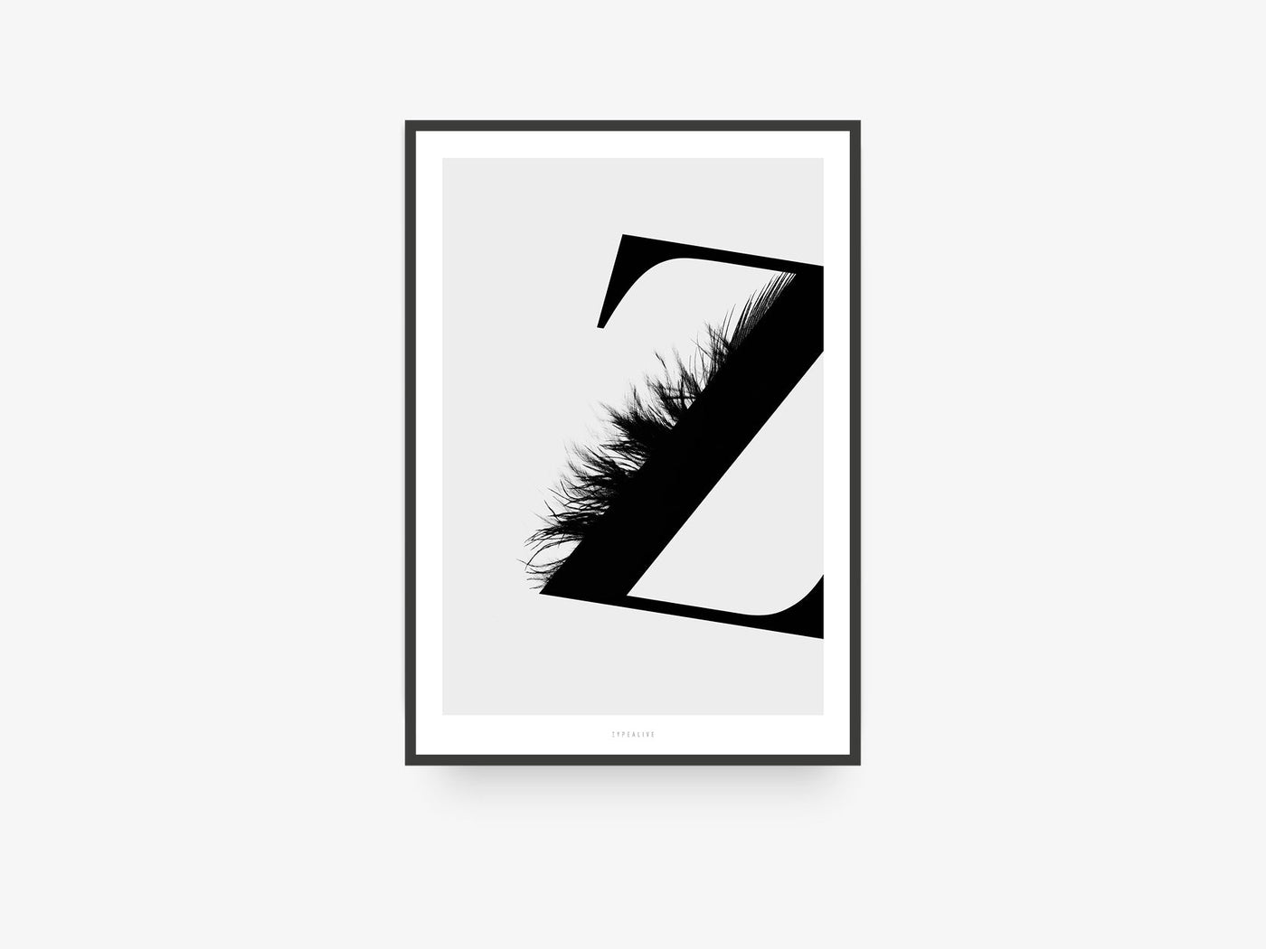 Print / ABC Flying Letters - Z