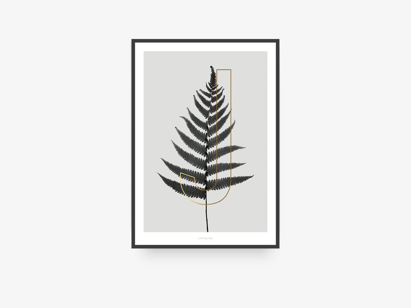 Print / ABC Plants - J