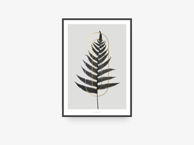 Print / ABC Plants - O