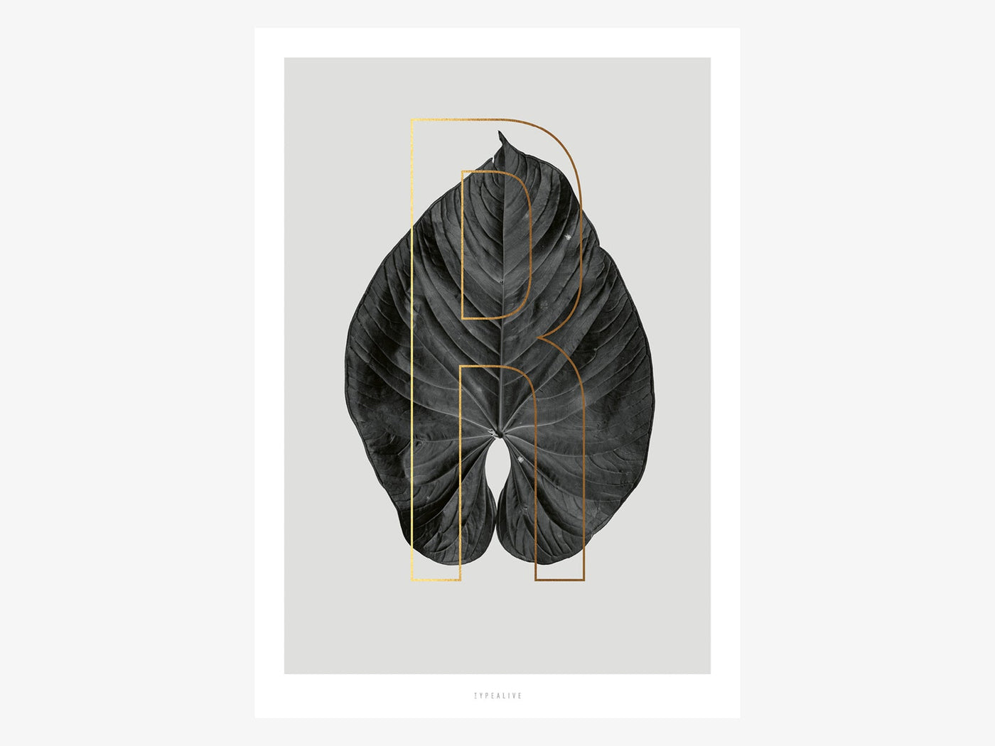 Print / ABC Plants - R