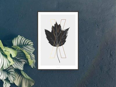 Print / ABC Plants - X