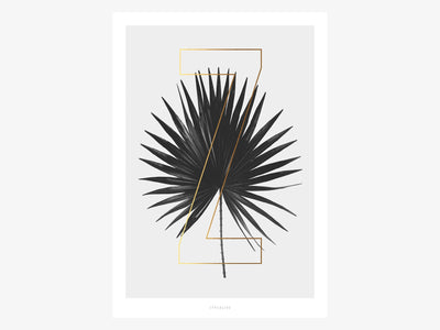 Print / ABC Plants - Z