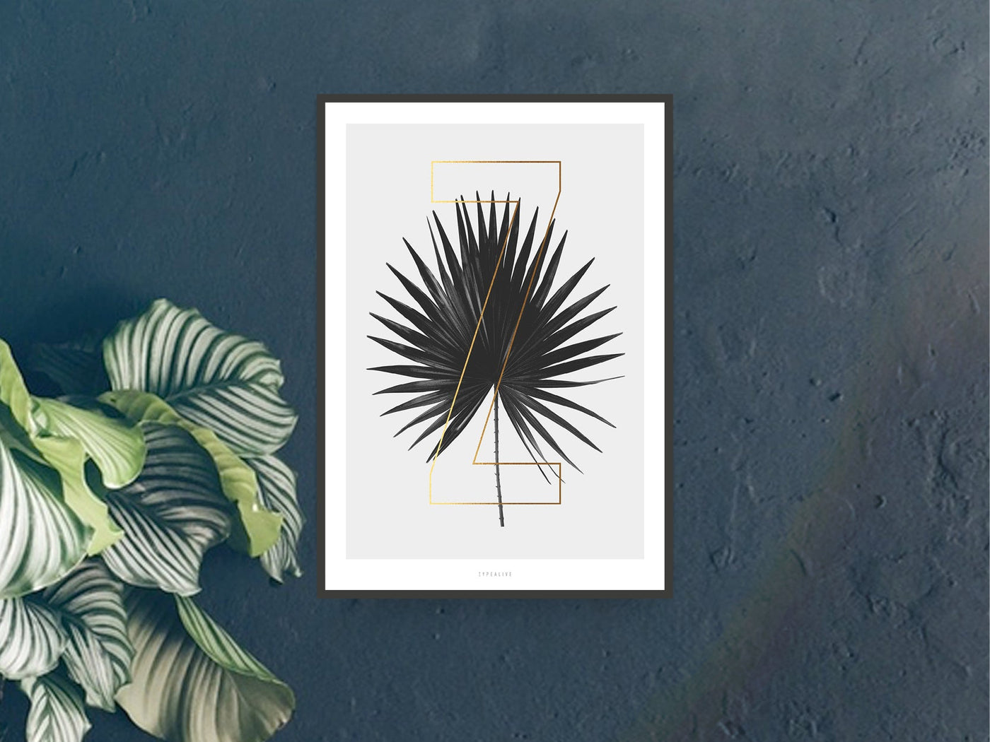 Print / ABC Plants - Z