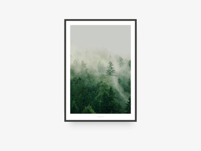 Print / A Quiet Place No. 7