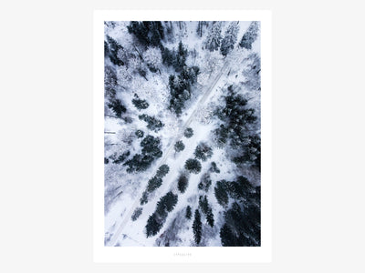 Print / Above The Woods No. 1