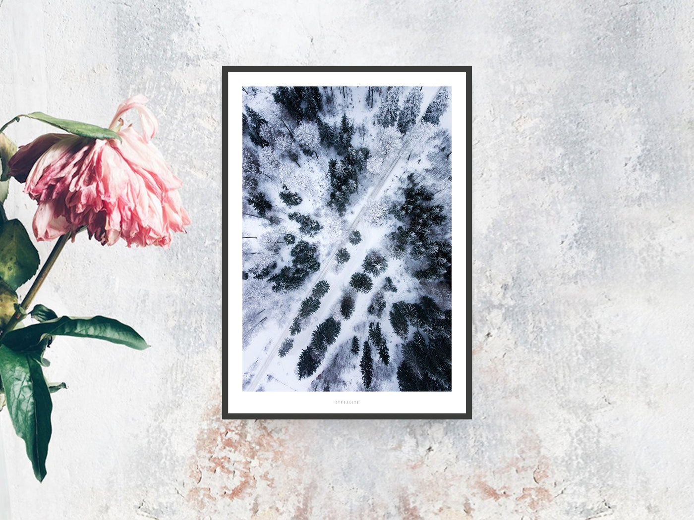 Print / Above The Woods No. 1