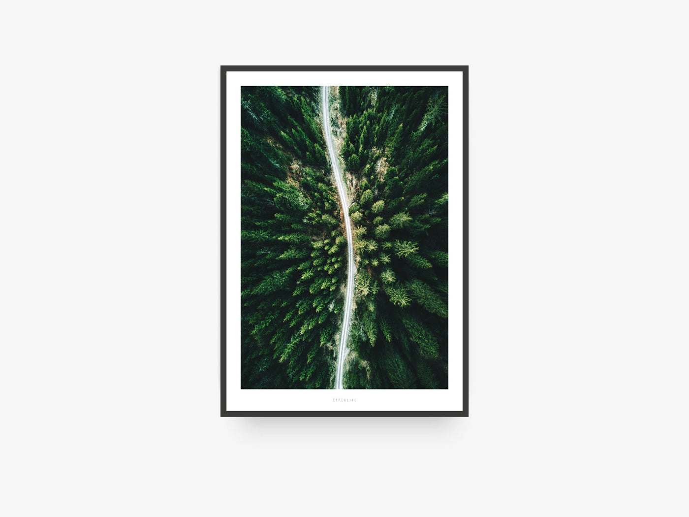 Print / Above The Woods No. 3