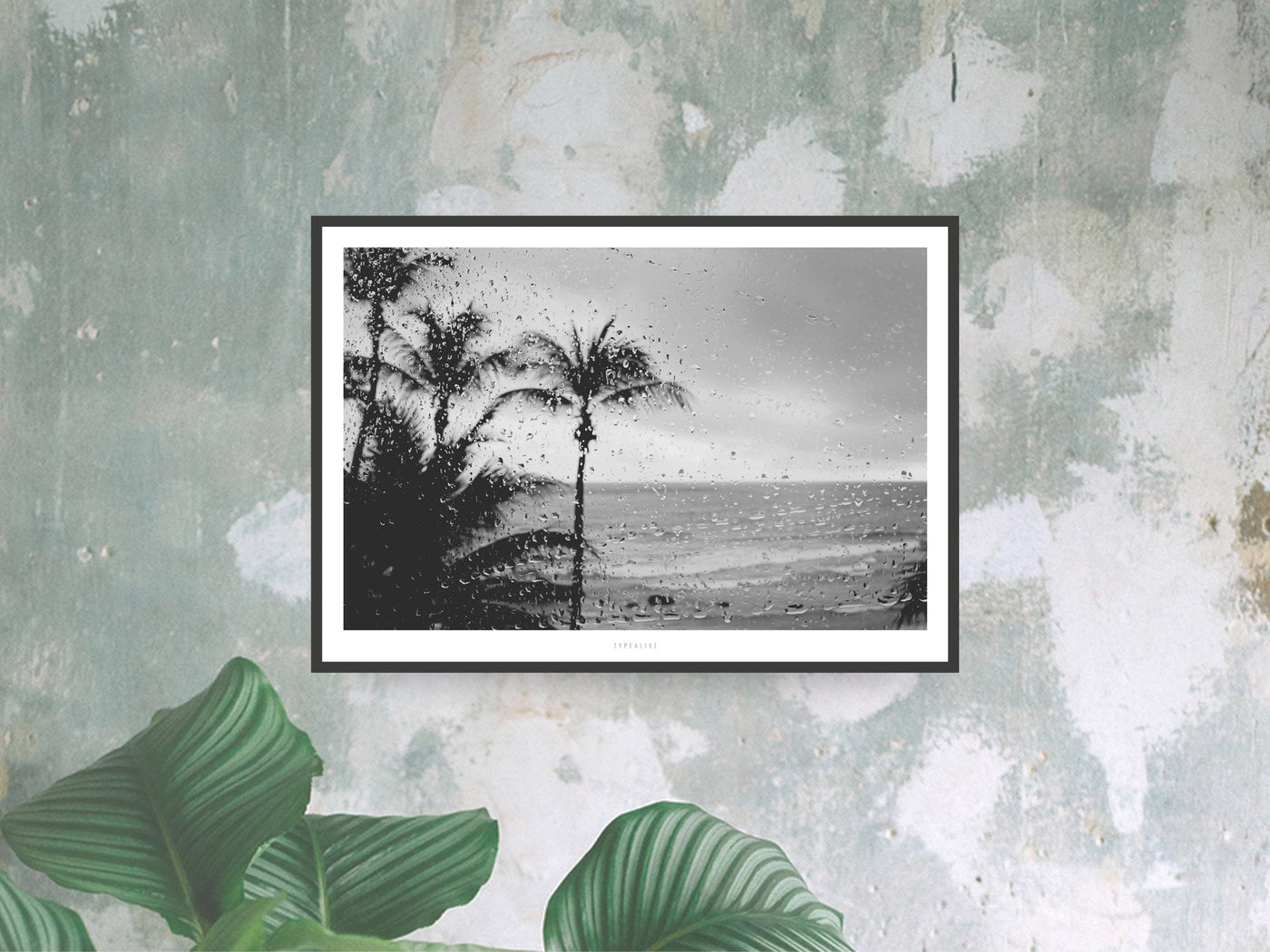 Print / All About Palms No. 12