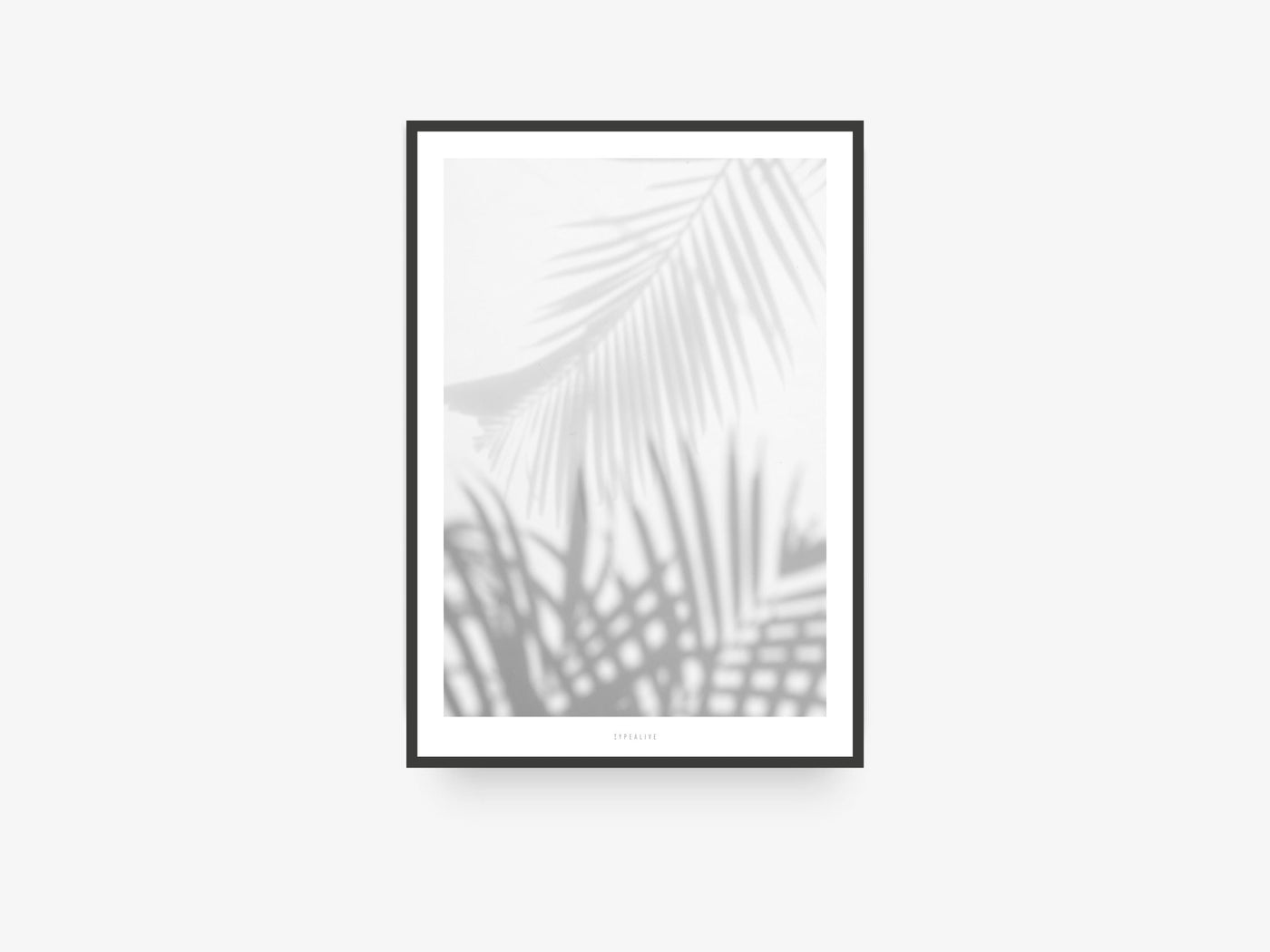 Print / All About Palms No. 1