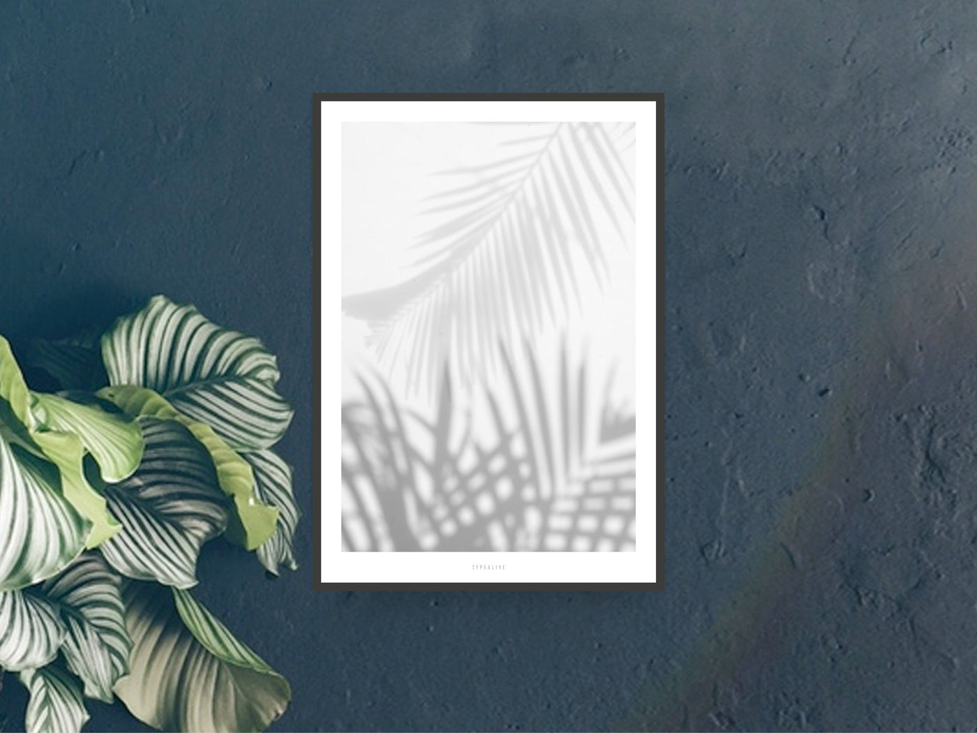 Print / All About Palms No. 1