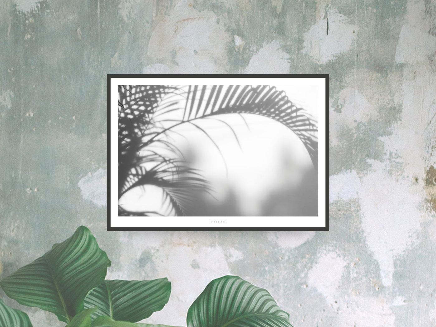 Print / All About Palms No. 3