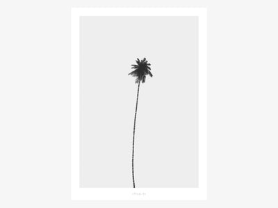 Print / All About Palms No. 4