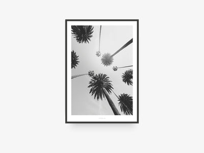 Print / All About Palms No. 7