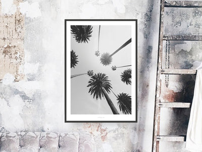 Print / All About Palms No. 7