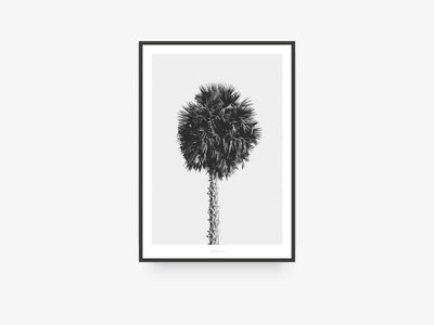 Print / All About Palms No. 8
