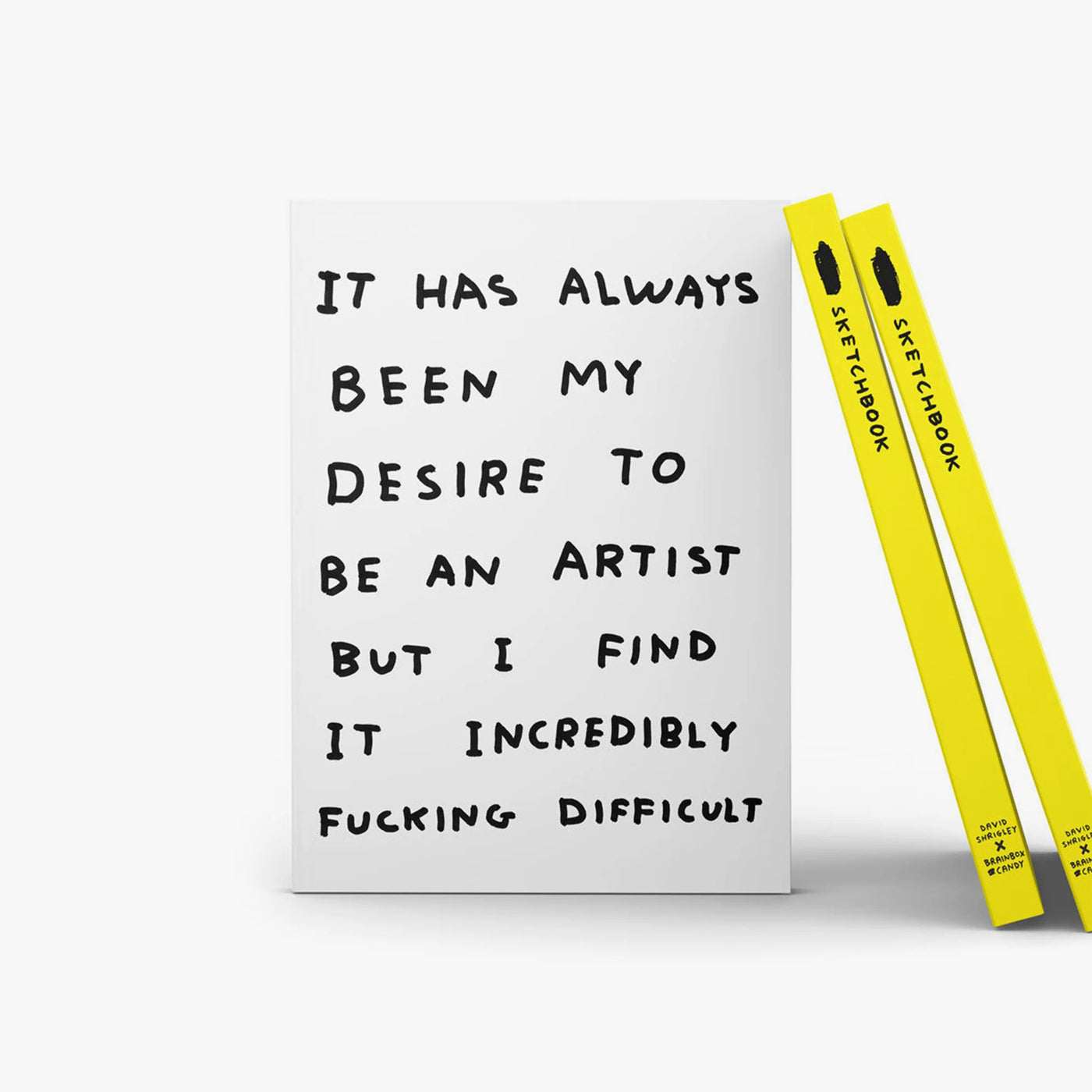 David Shrigley - Sketchbook "Be An Artist"