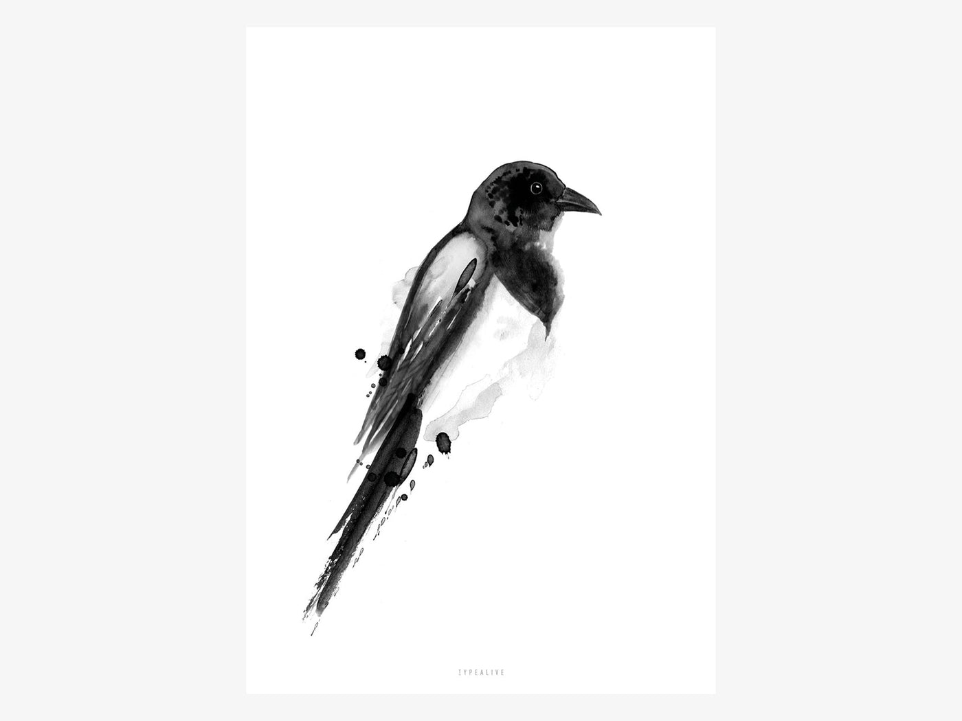 Print / Birdy No. 4
