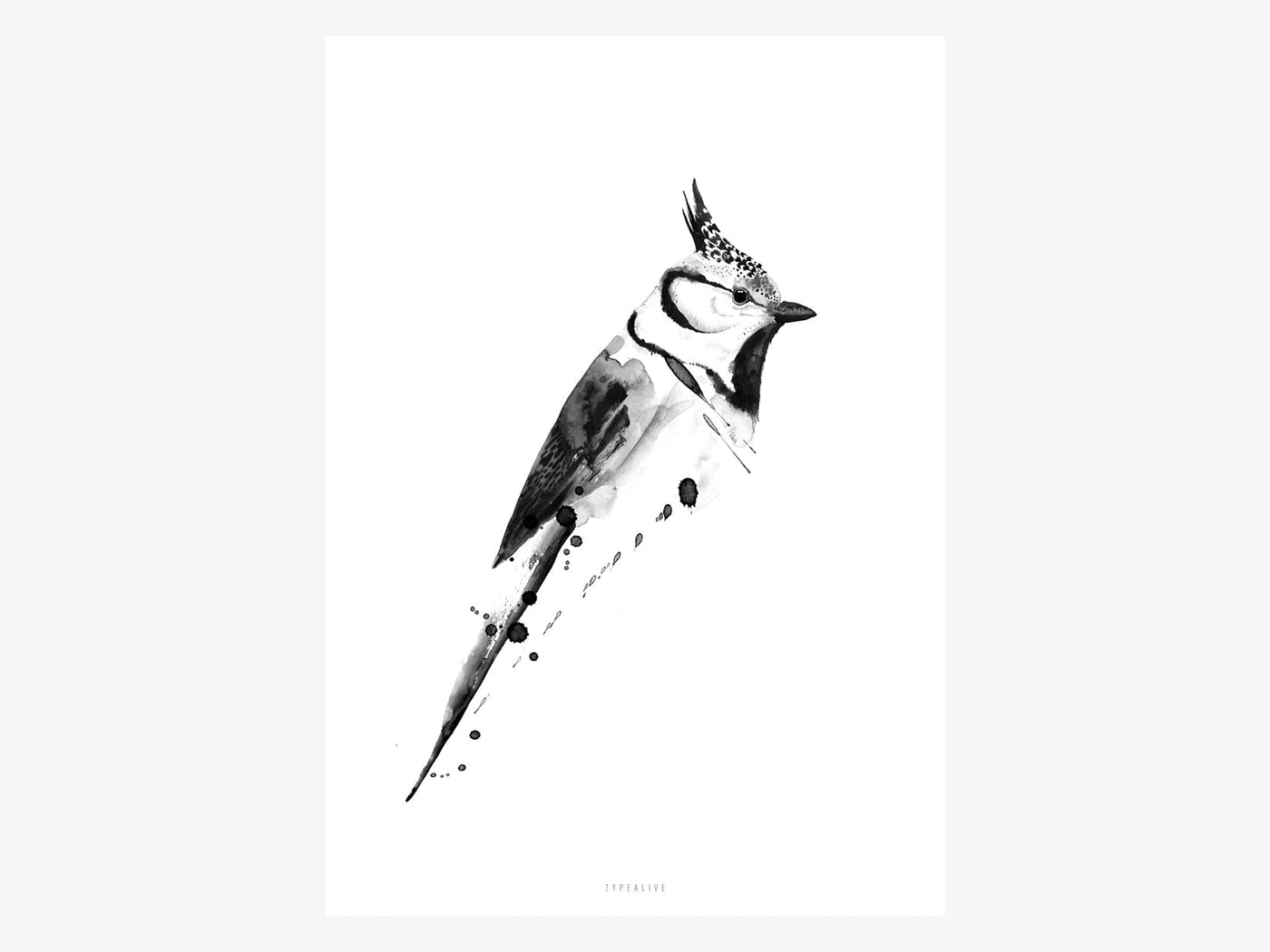 Print / Birdy No. 2