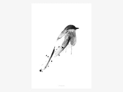 Print / Birdy No. 3