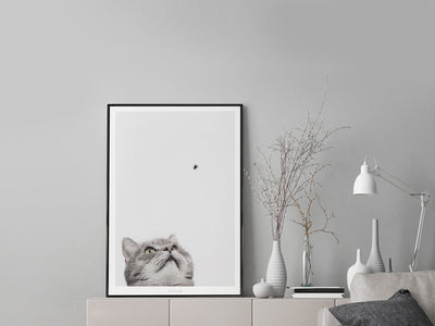 Print / Cat And Fly