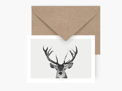 Postkarte / Deer No. 1