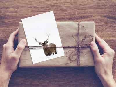 Postkarte / Deer No. 2