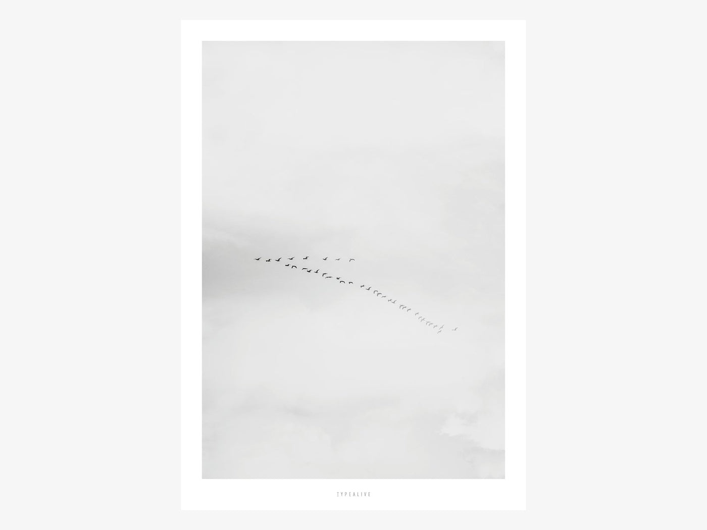 Print / Landscape No. 18