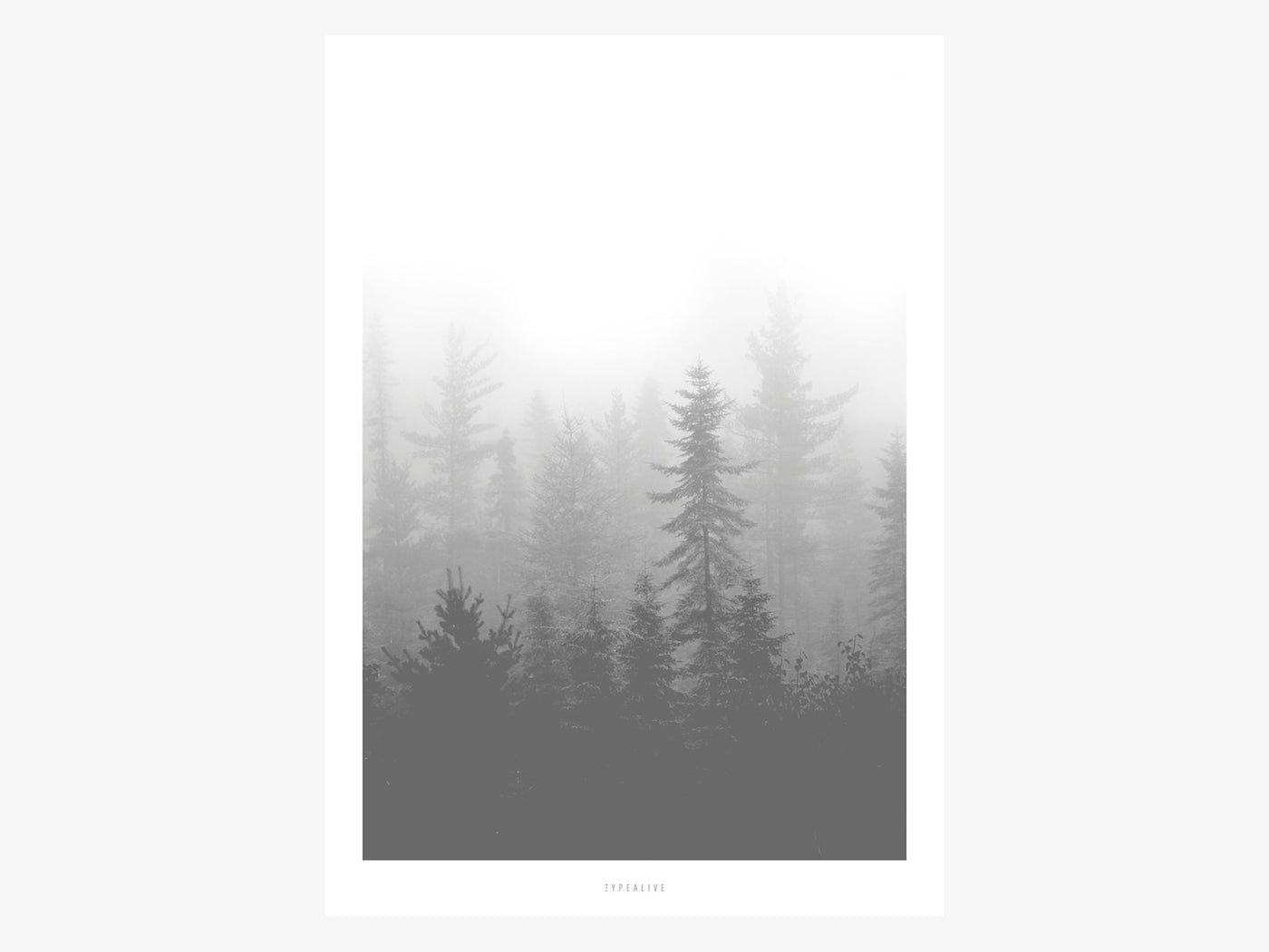 Print / Landscape No. 5
