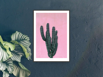Print / Kaktus No. 1
