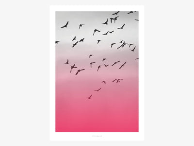 Print / Birds No. 2