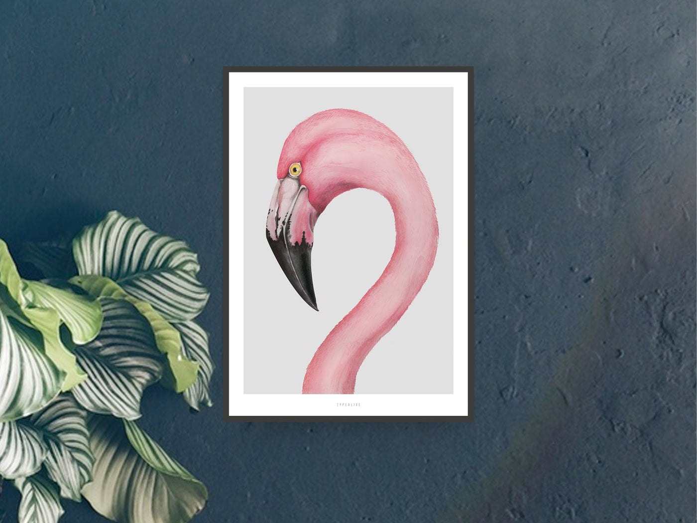 Print / Flamingo