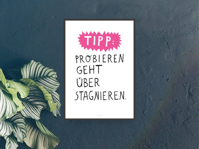 Print / Probieren