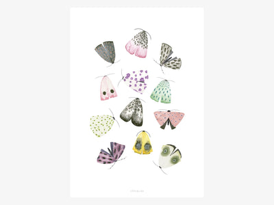 Print / Moths