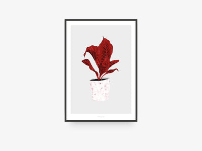 Print / Wallplant No. 1