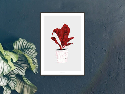 Print / Wallplant No. 1