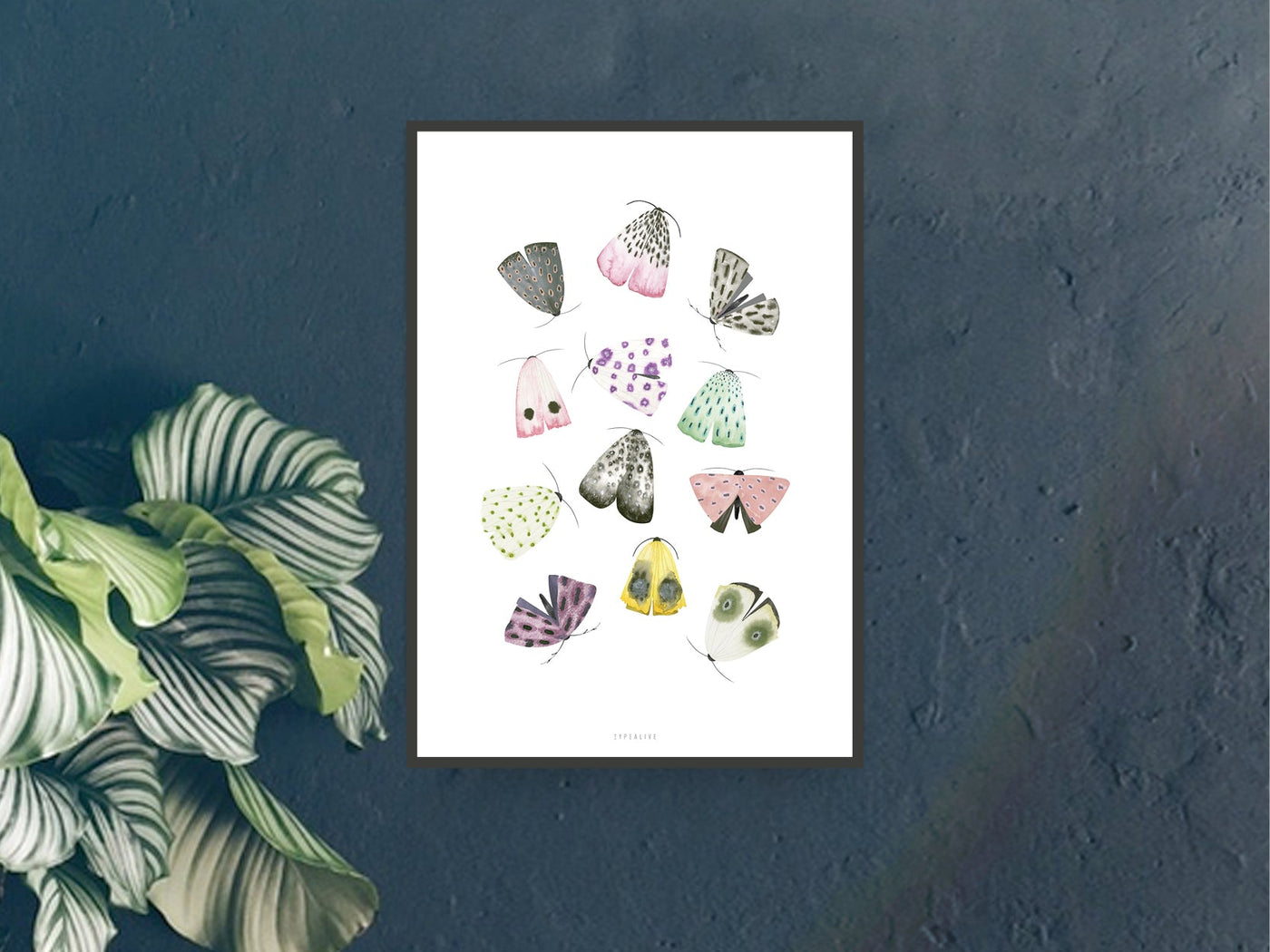 Print / Moths
