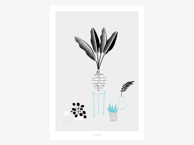 Print / The Plants