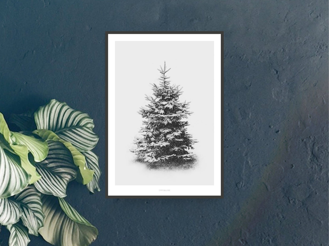 Print / Schneetanne No. 1