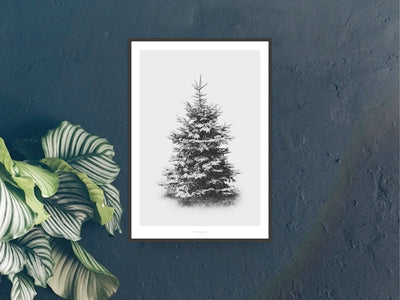 Print / Schneetanne No. 1