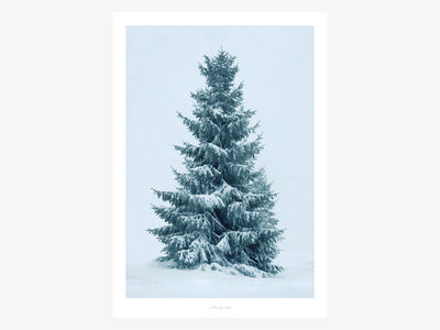 Print / Schneetanne No. 2