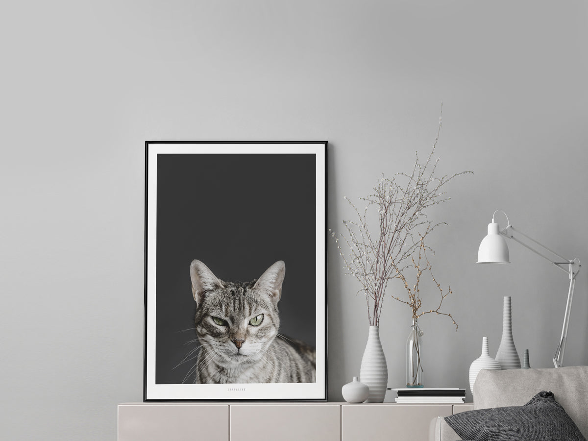 Print / Skeptical Cat