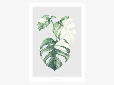Print / Tropical No. 5