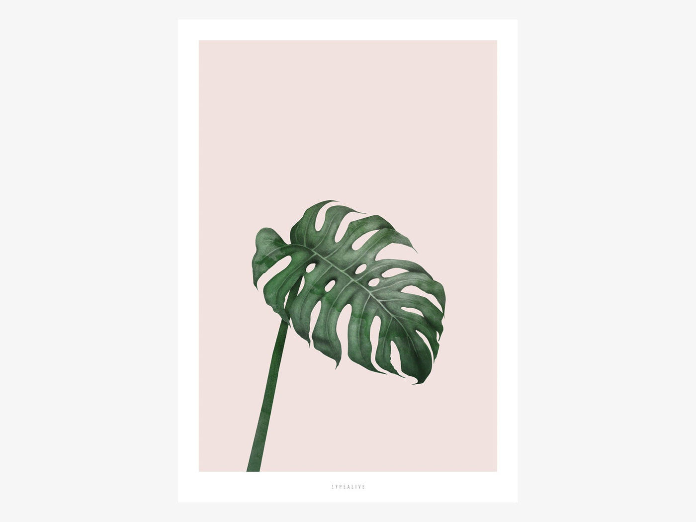 Print / Tropical No. 7
