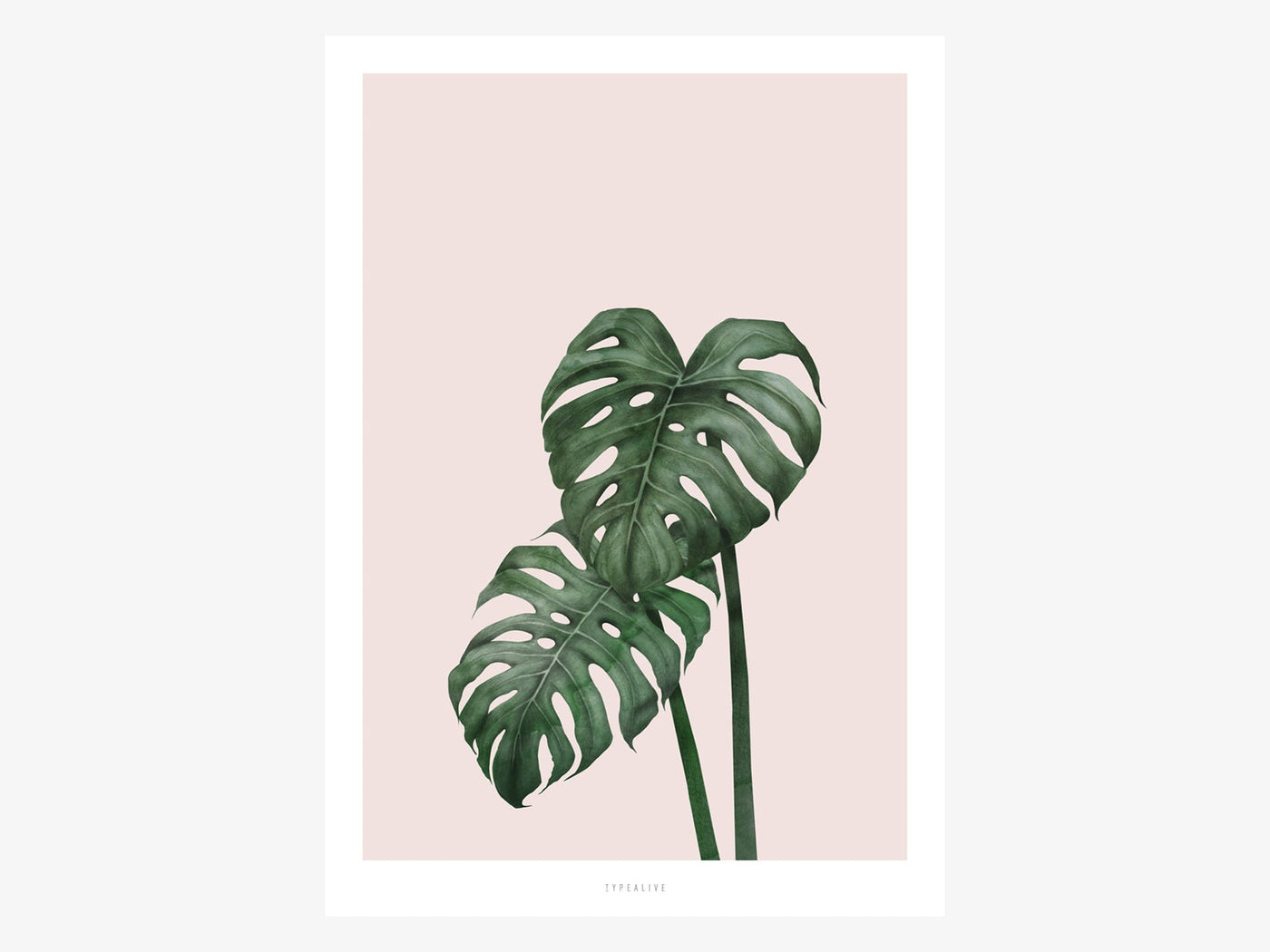 Print / Tropical No. 9