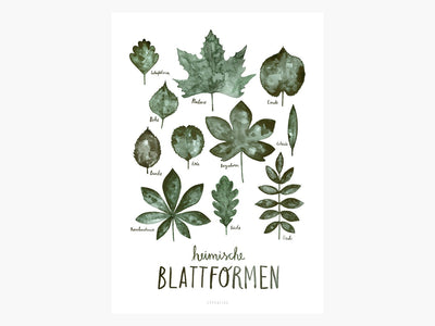 Print / Blattformen No. 1