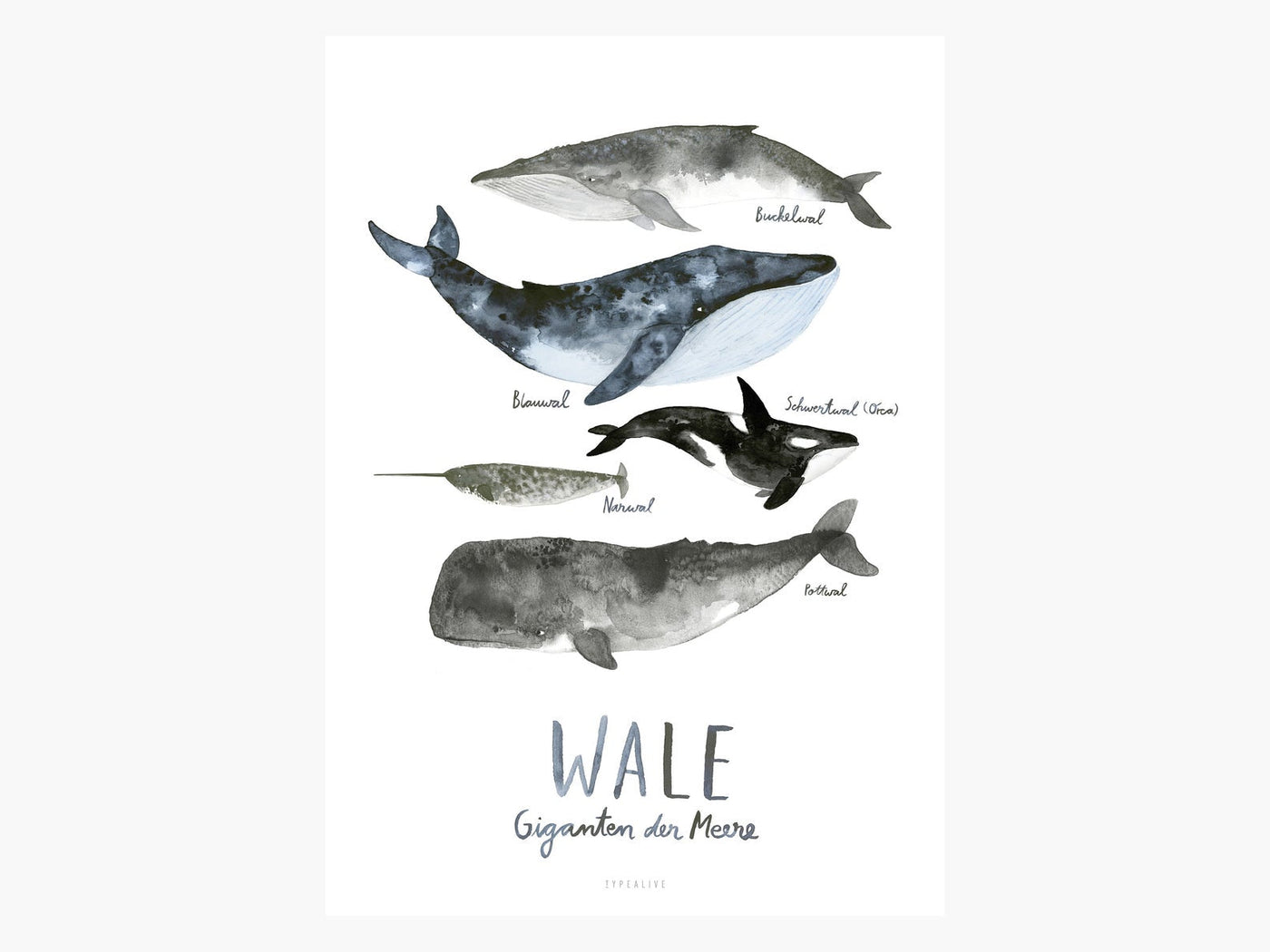 Print / Wale